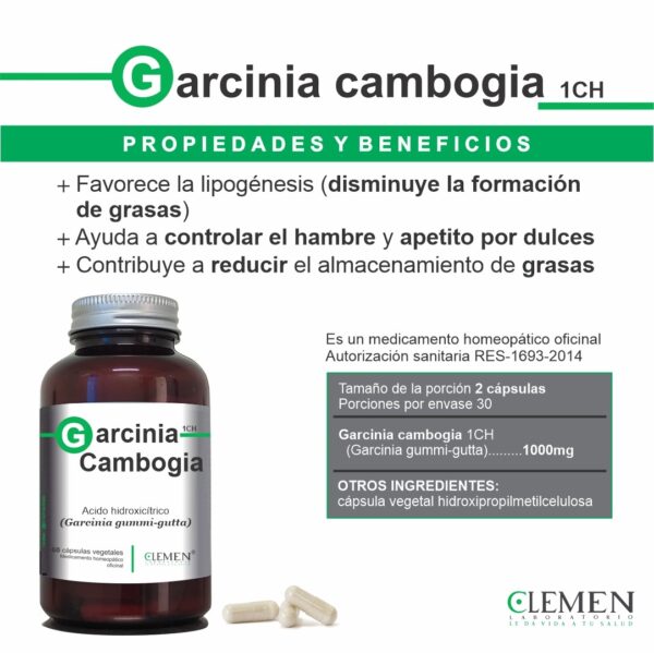 Garcinicia Cambogia - Imagen 2