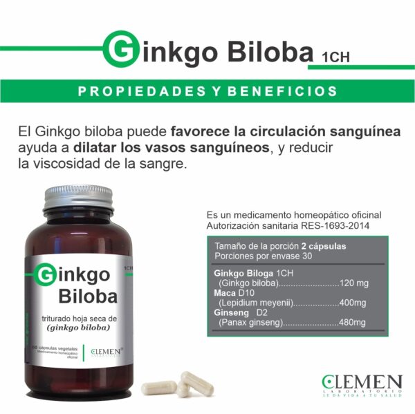 Ginkgo Biloba - Imagen 2